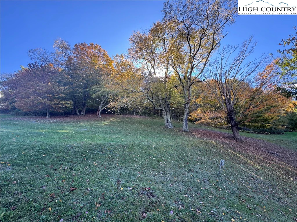 Image number 7 for the current listing