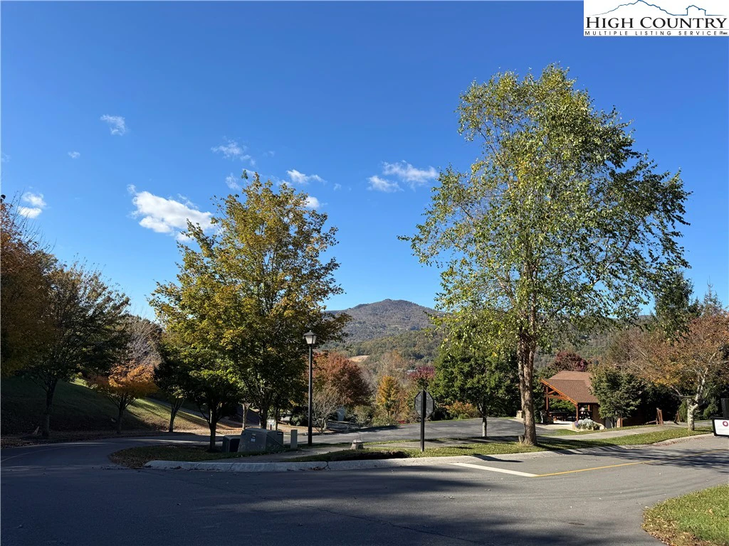 Image number 14 for the current listing