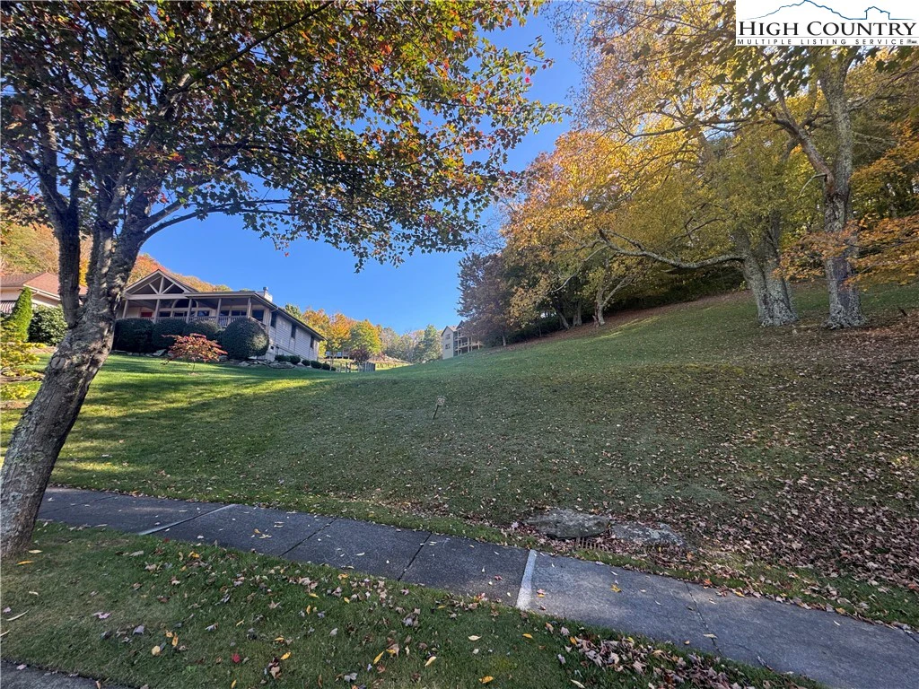 Image number 1 for the current listing