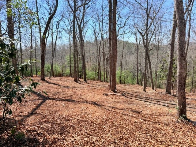 Image number 3 for the current listing