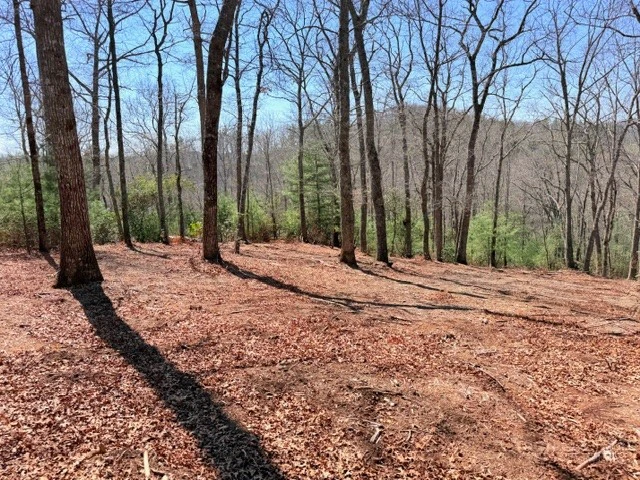 Image number 4 for the current listing