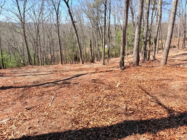 Image number 6 for the current listing