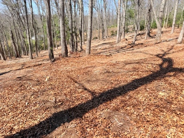 Image number 7 for the current listing