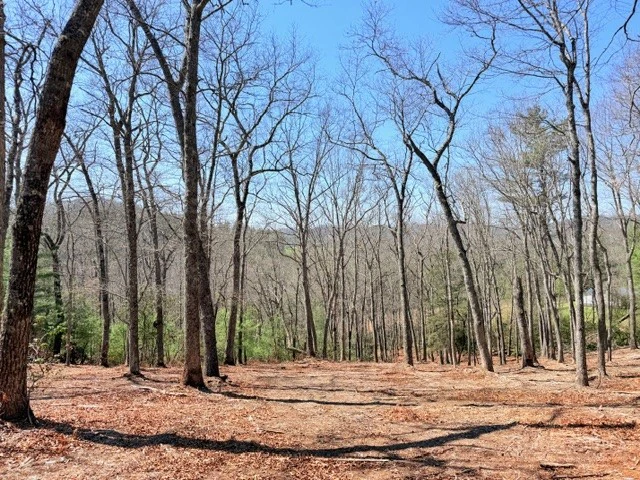 Image number 8 for the current listing