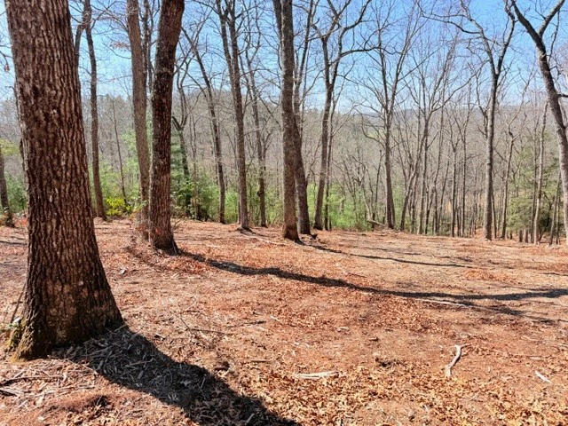 Image number 9 for the current listing