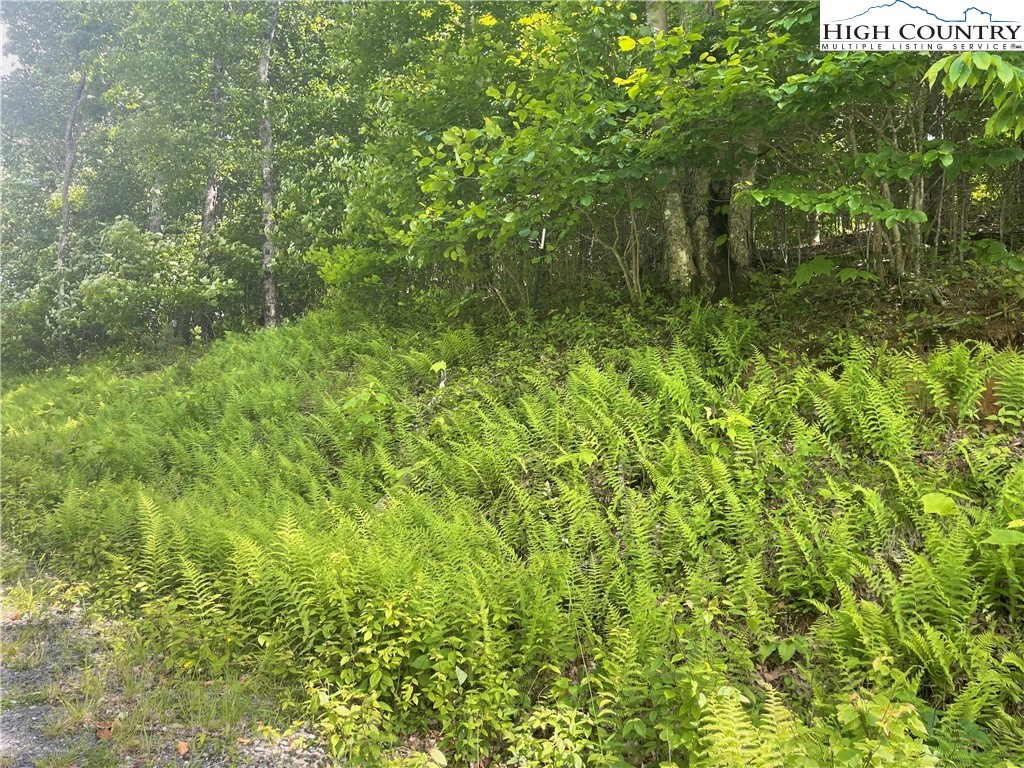 Image number 13 for the current listing