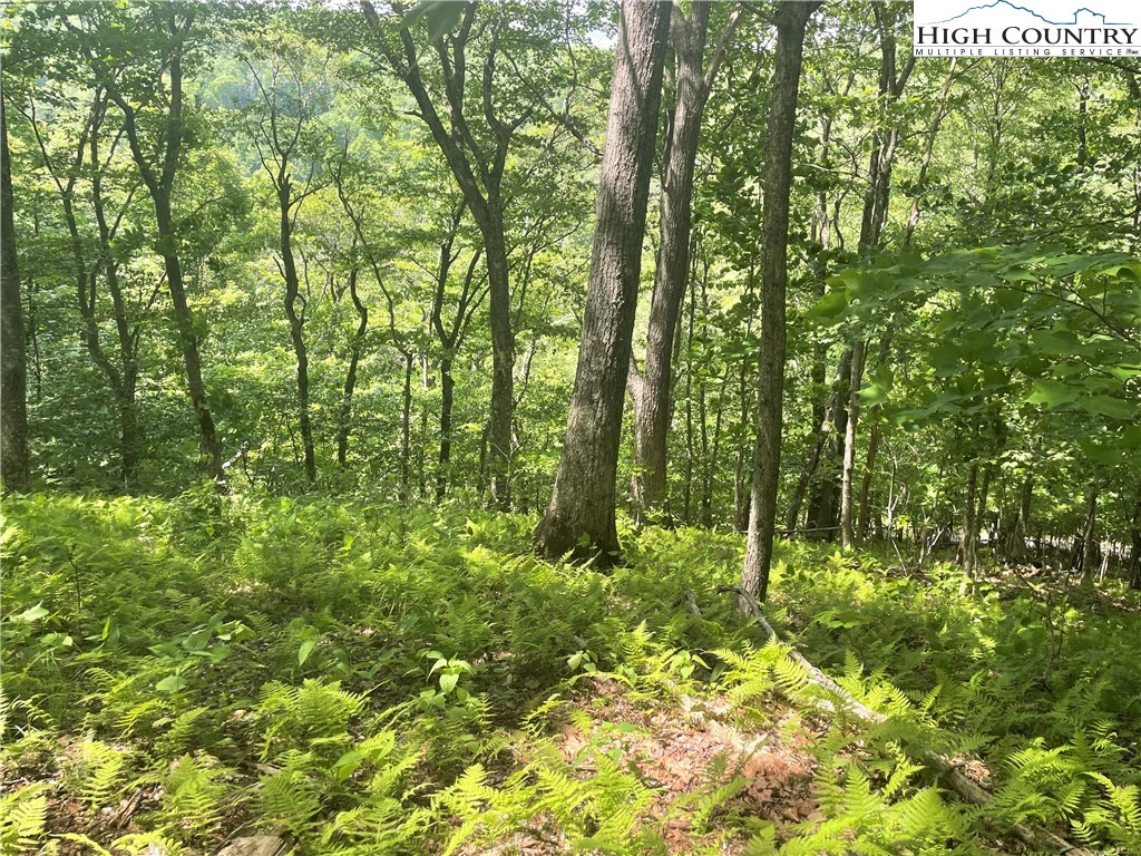 Image number 1 for the current listing