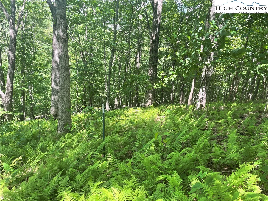 Image number 21 for the current listing