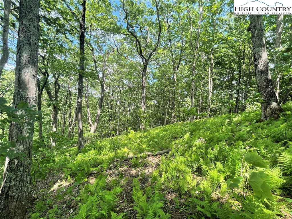 Image number 19 for the current listing