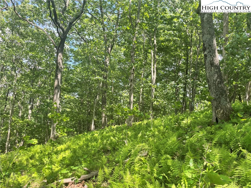 Image number 16 for the current listing