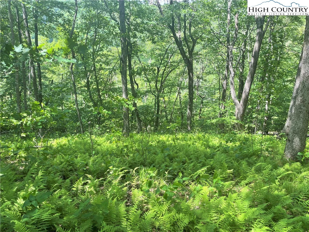 Image number 15 for the current listing