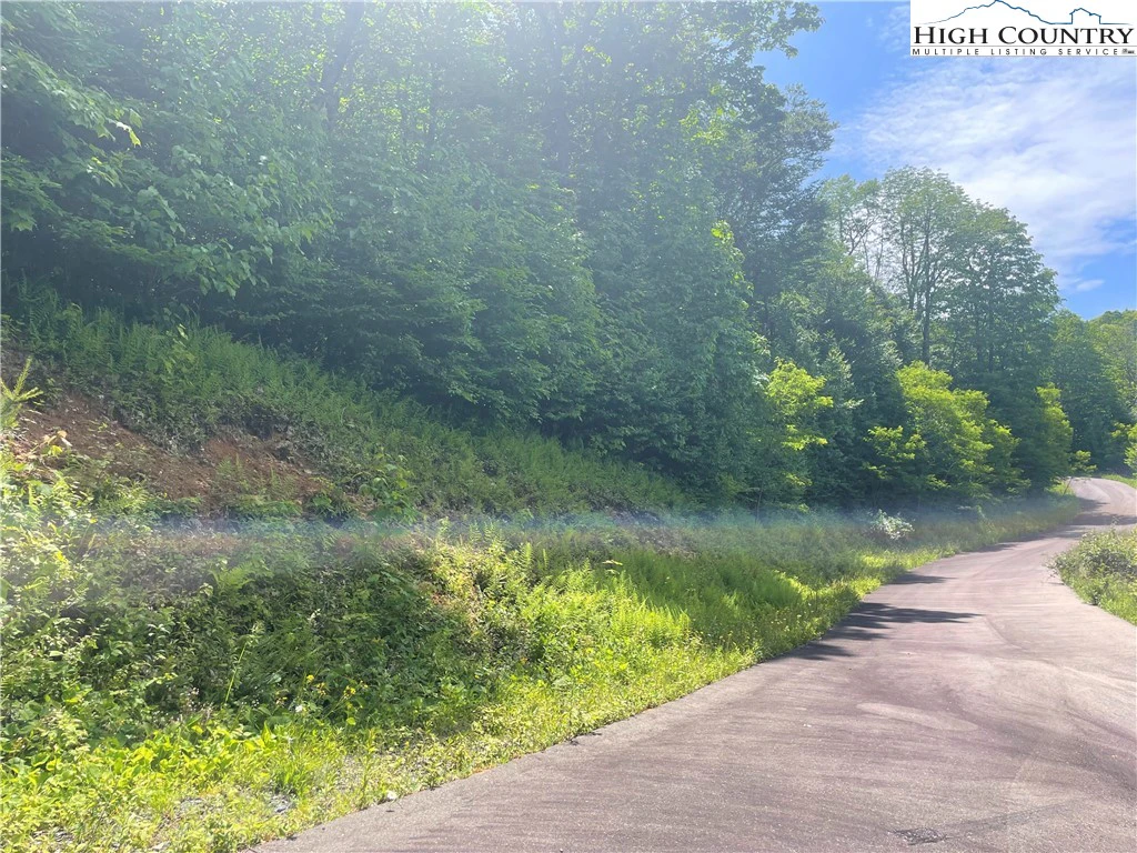 Image number 14 for the current listing