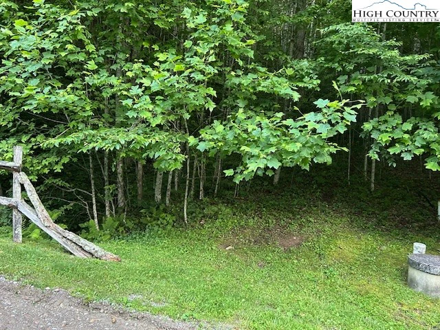 Image number 1 for the current listing