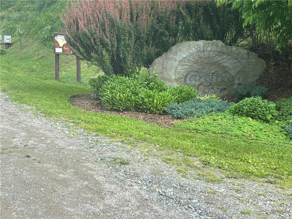 Image number 14 for the current listing