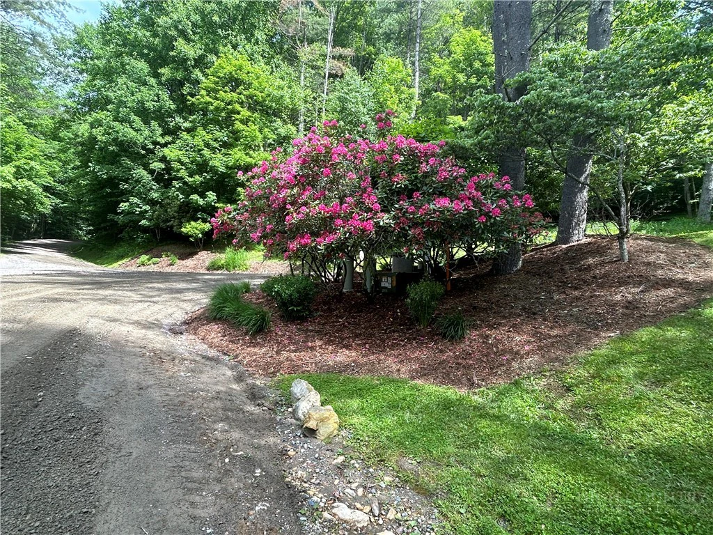 Image number 13 for the current listing