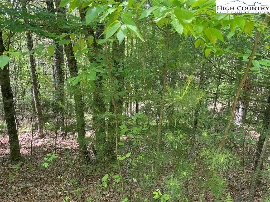 Image number 18 for the current listing