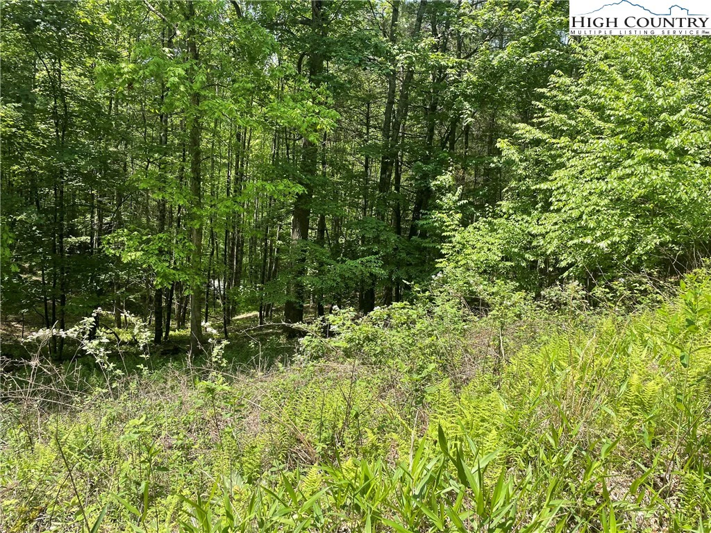 Image number 14 for the current listing