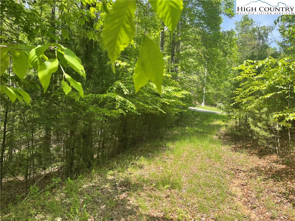 Image number 1 for the current listing