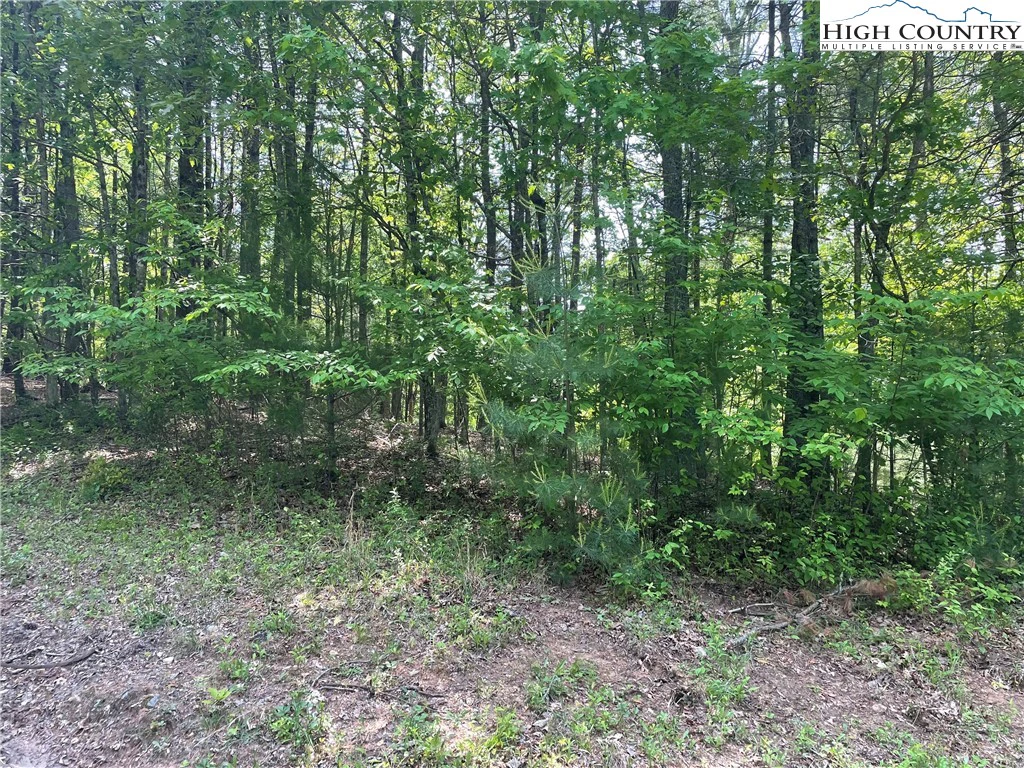 Image number 21 for the current listing