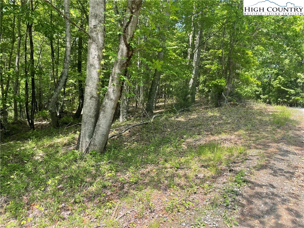 Image number 3 for the current listing