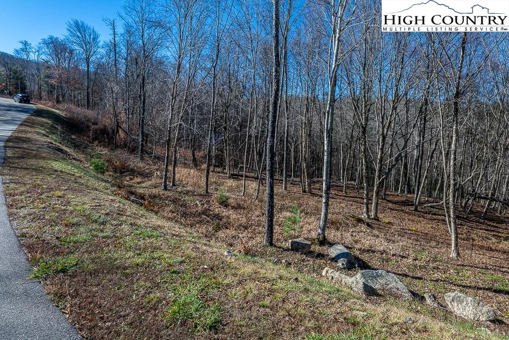 Image number 1 for the current listing