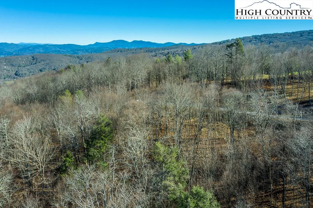 Image number 2 for the current listing
