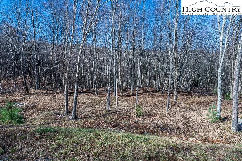 Image number 21 for the current listing
