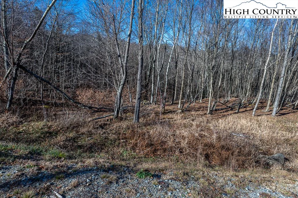Image number 15 for the current listing