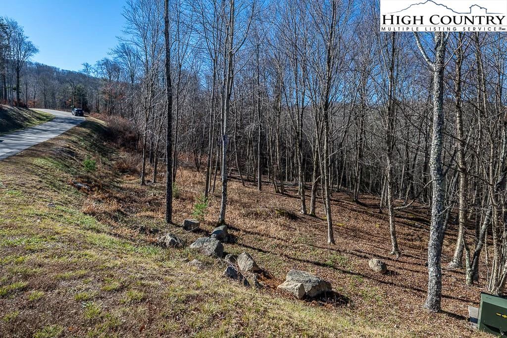 Image number 14 for the current listing