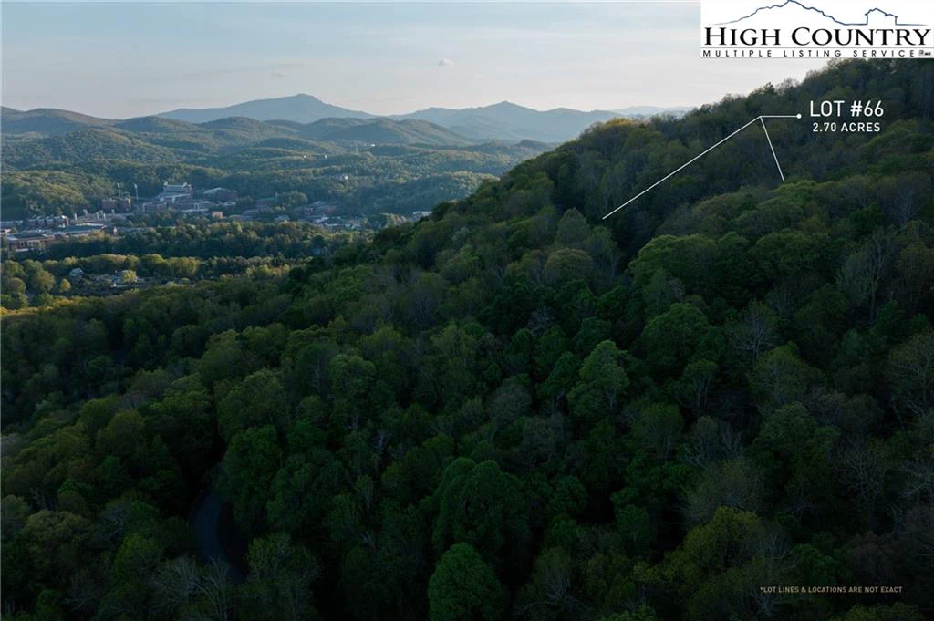 Image number 1 for the current listing