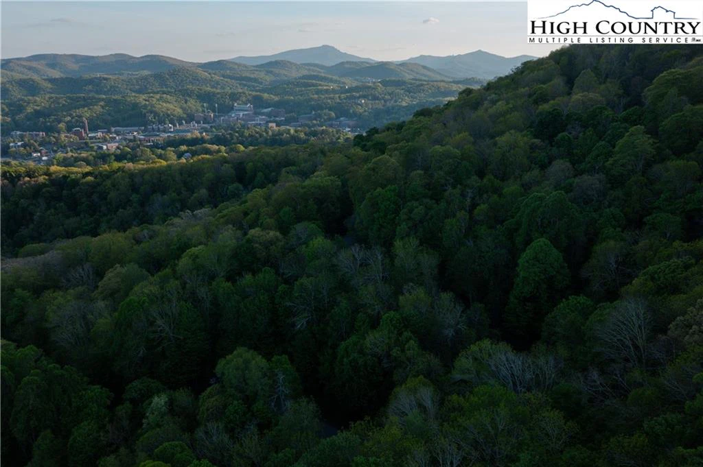 Image number 13 for the current listing