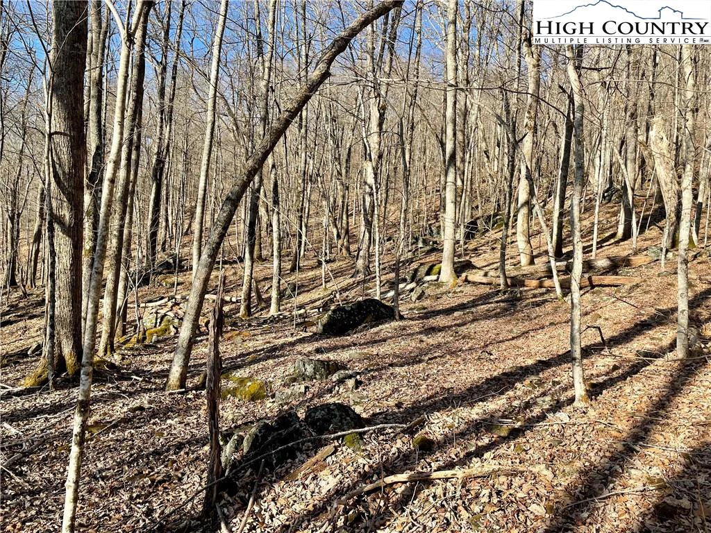 Image number 4 for the current listing