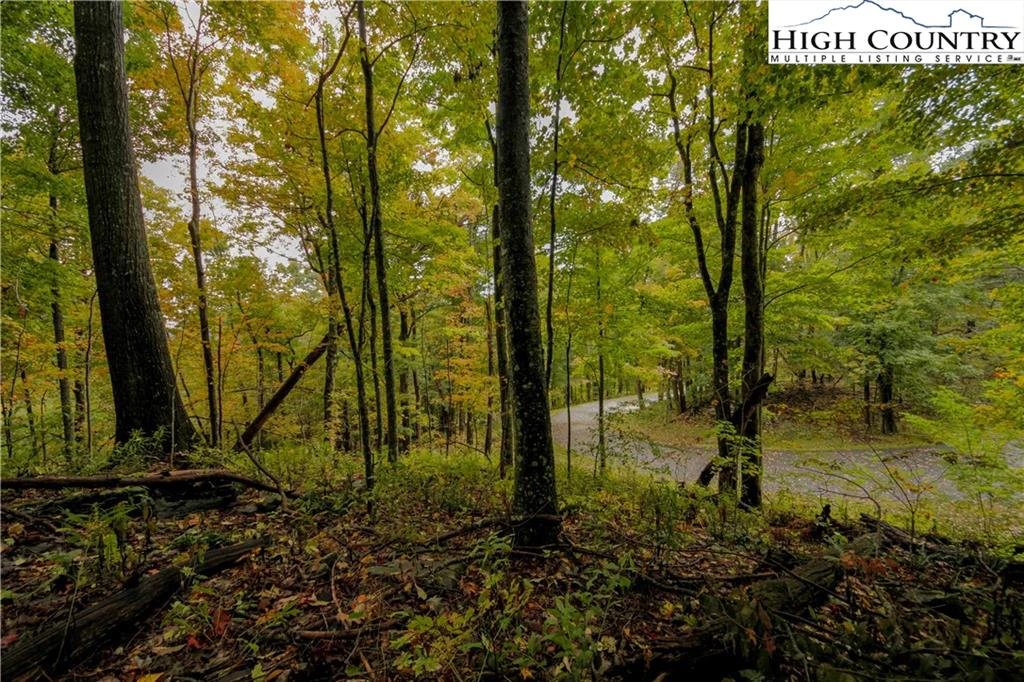 Image number 7 for the current listing