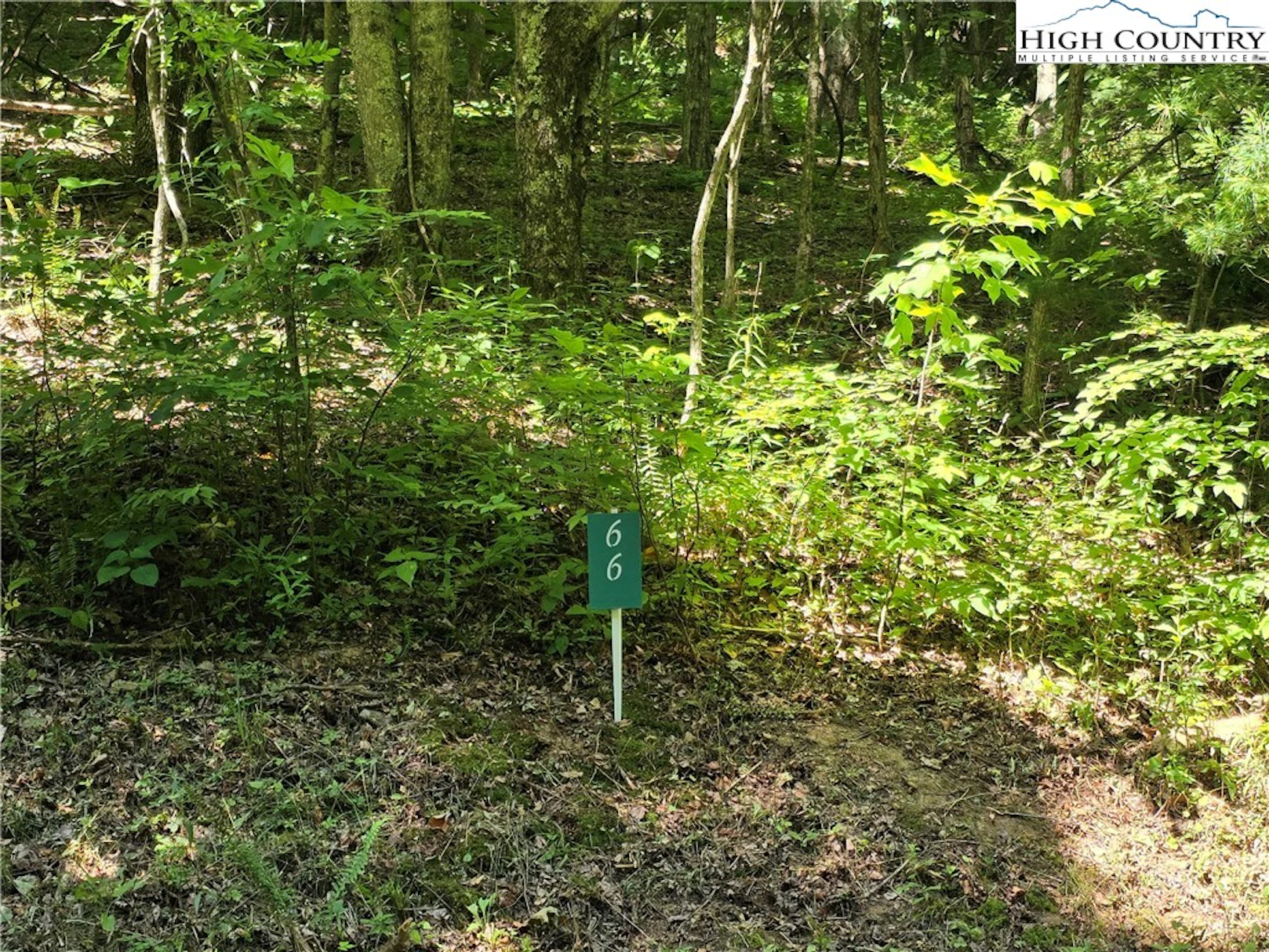 Image number 1 for the current listing