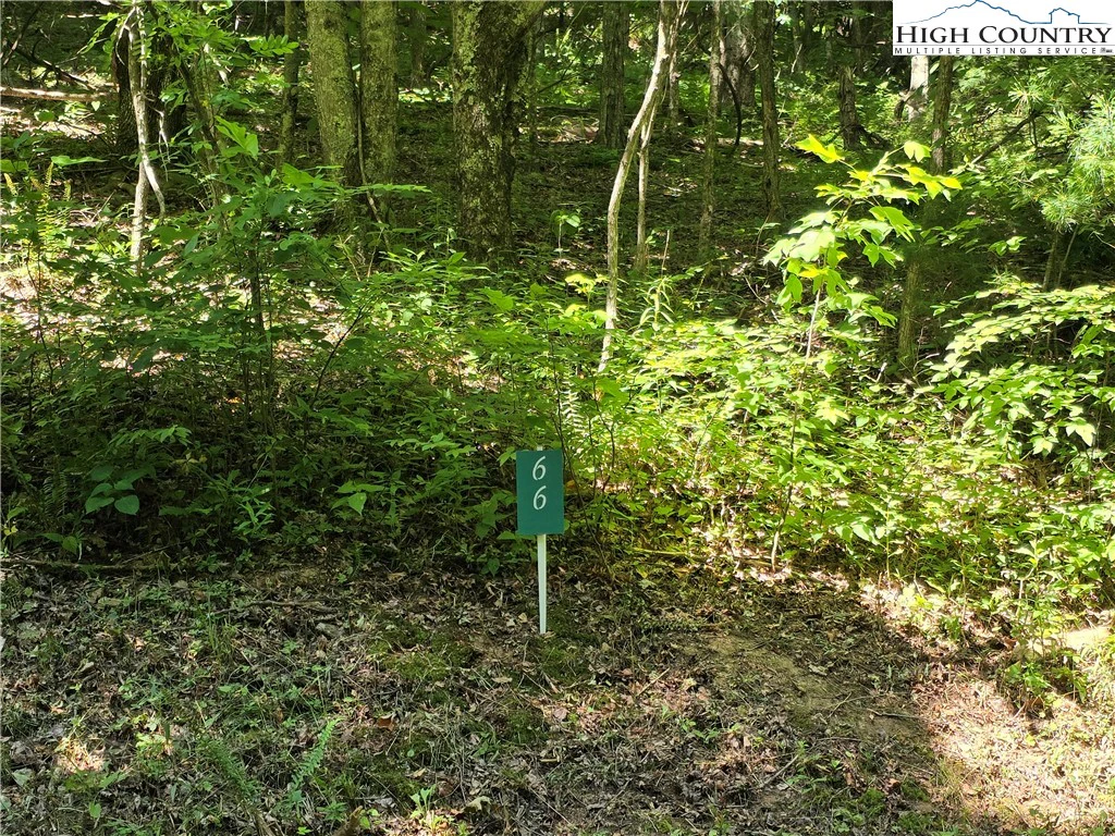 Image number 1 for the current listing