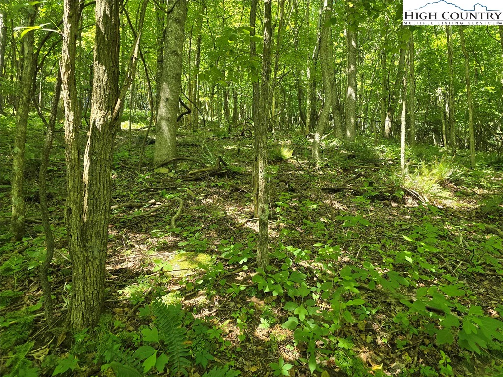 Image number 5 for the current listing