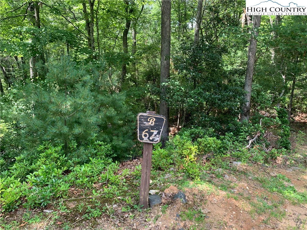 Image number 1 for the current listing