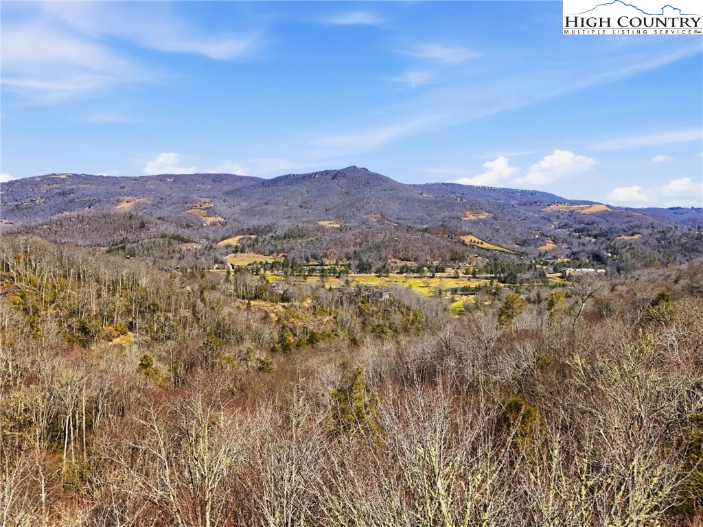 Image number 1 for the current listing