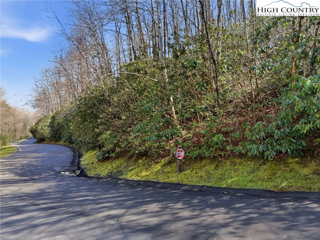 Image number 6 for the current listing