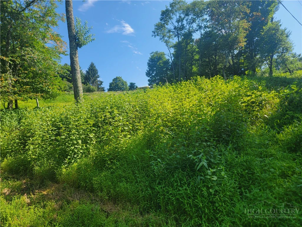 Image number 1 for the current listing