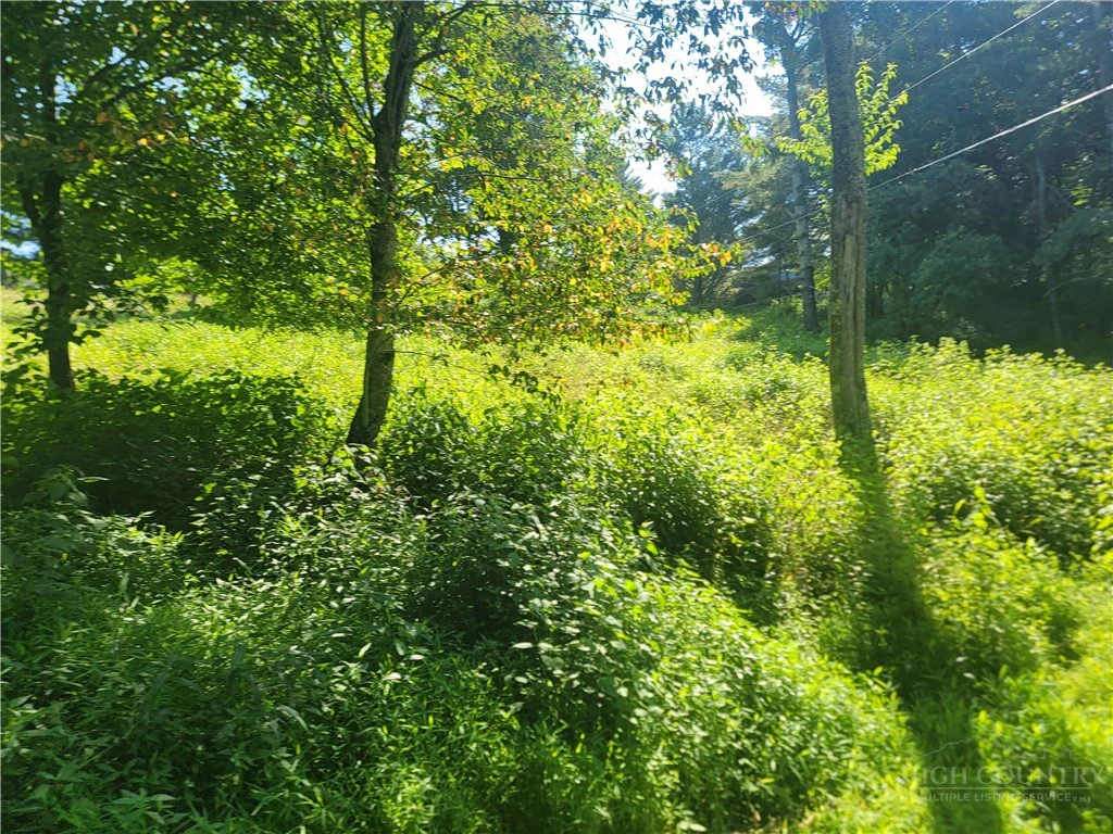 Image number 2 for the current listing