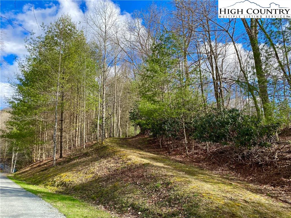 Image number 1 for the current listing