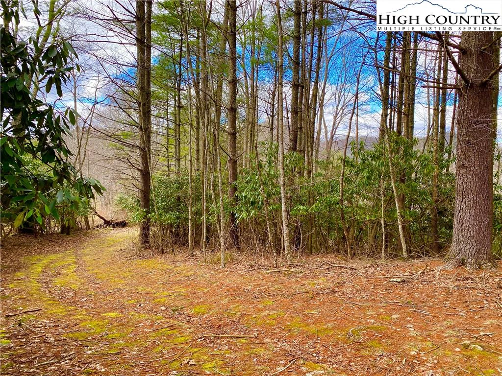 Image number 13 for the current listing