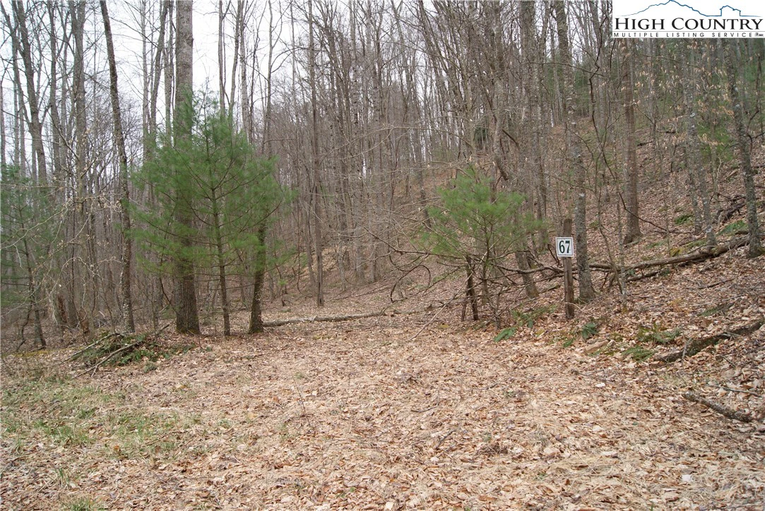 Image number 1 for the current listing