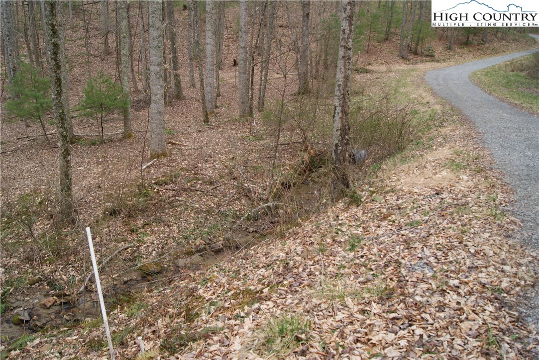 Image number 3 for the current listing