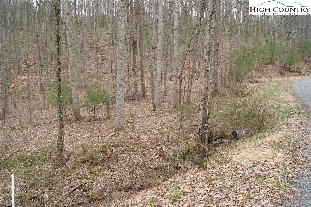 Image number 4 for the current listing