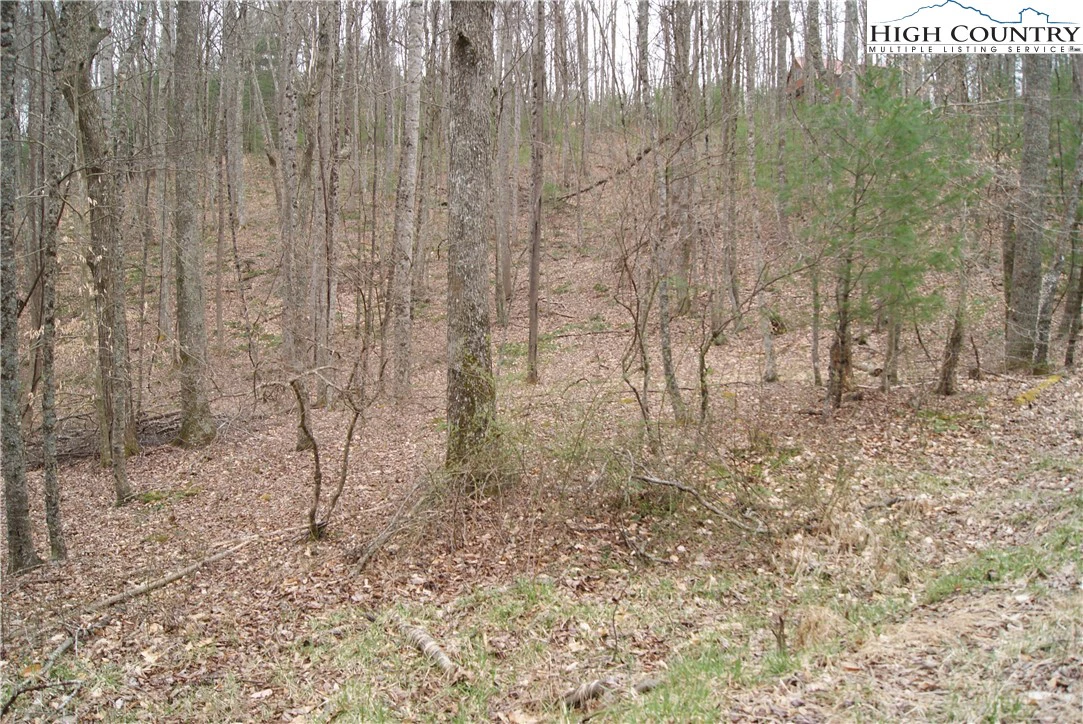 Image number 5 for the current listing