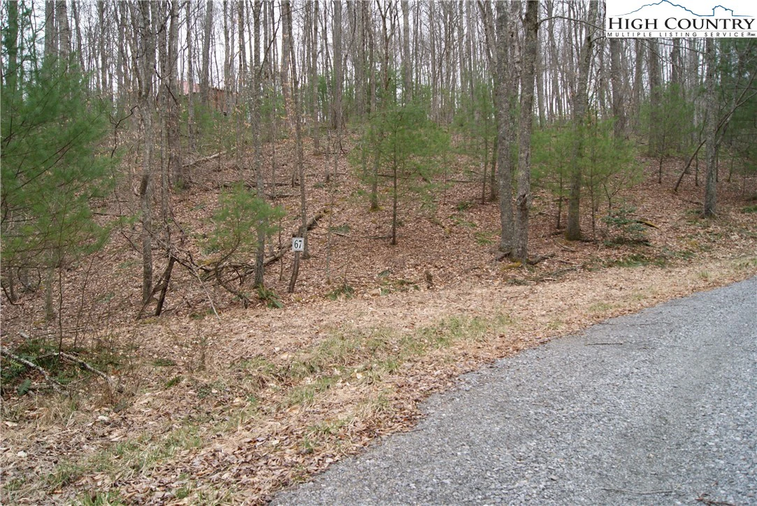 Image number 6 for the current listing