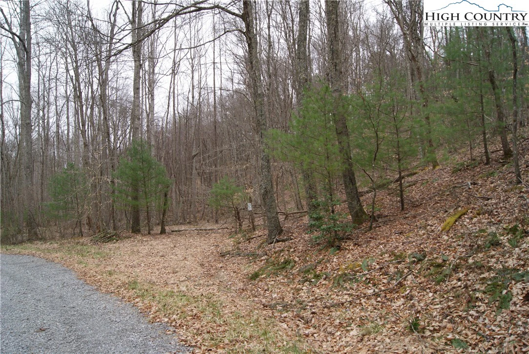 Image number 7 for the current listing