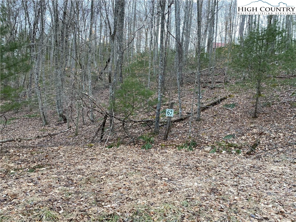 Image number 8 for the current listing
